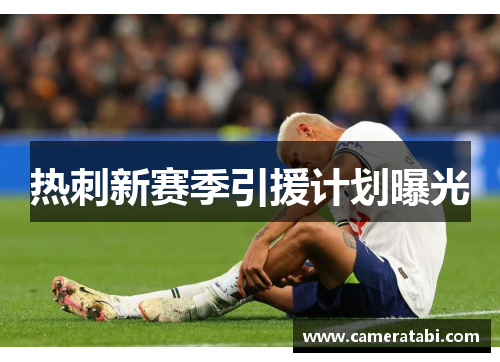 热刺新赛季引援计划曝光